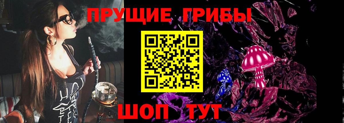 Кизляр  Псилоцибиновые грибы Magic Shrooms  Вход с VPN 
